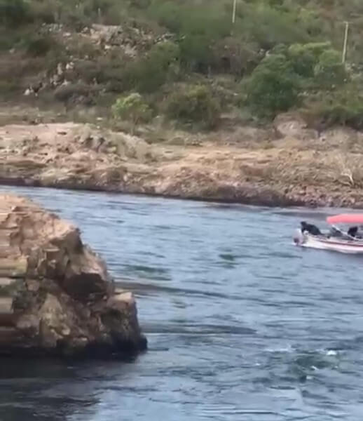 Homem tenta atravessar rio são francisco nadando