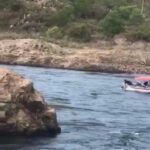 Homem tenta atravessar rio são francisco nadando