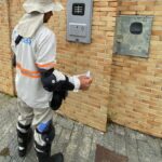 Energisa