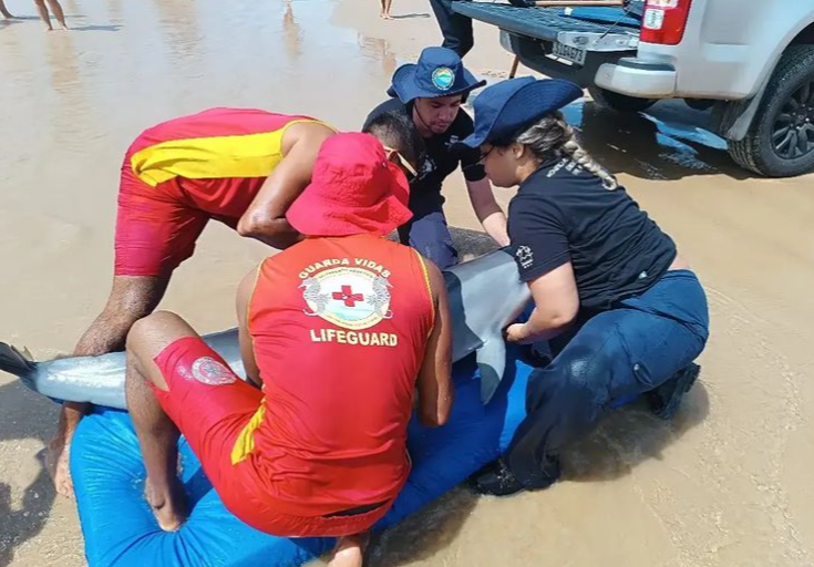 Notícias Aracaju hoje