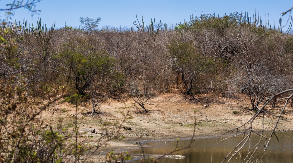 Estiagem em Poço Verde