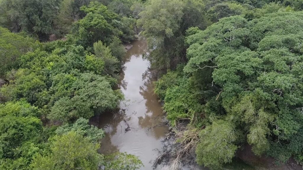 Poluição do Rio Piauí