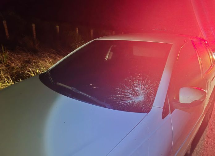 atropelamento em Simão Dias