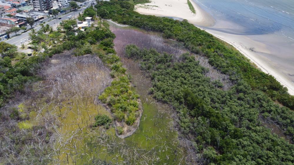 manguezal da 13 de Julho
