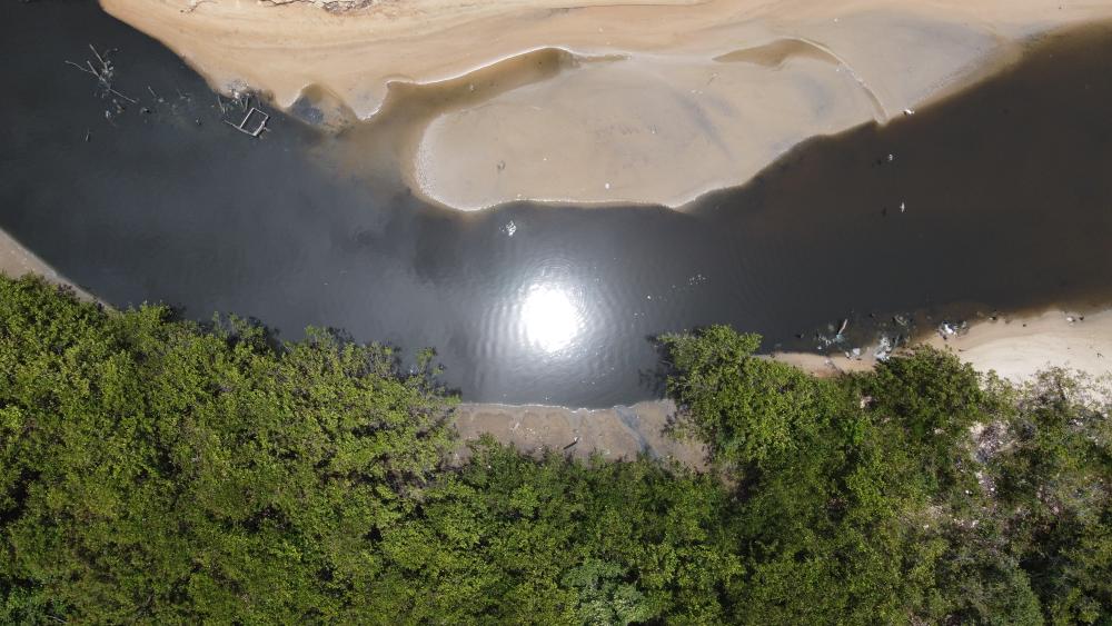 manguezal da 13 de Julho