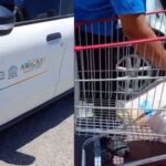 uso indevido de veículos públicos