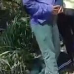 Zona rural de Capela onde ocorreu ataque de abelhas