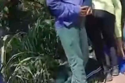 Zona rural de Capela onde ocorreu ataque de abelhas