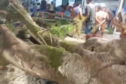 Árvore caída na Praça da Matriz, no Centro Histórico de São Cristóvão