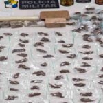 Militares do BPRp apreendem mais de 170 papelotes de maconha no Bairro Lamarão, Aracaju