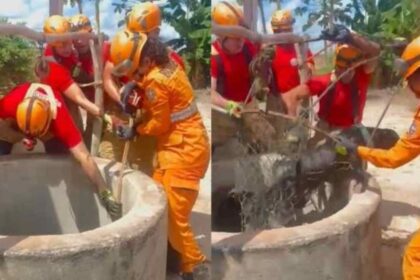 Integrantes do Corpo de Bombeiros de Sergipe realizando resgate de animal em cisterna no Povoado Colônia.
