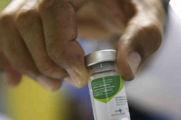 vacina contra a gripe Influenza A