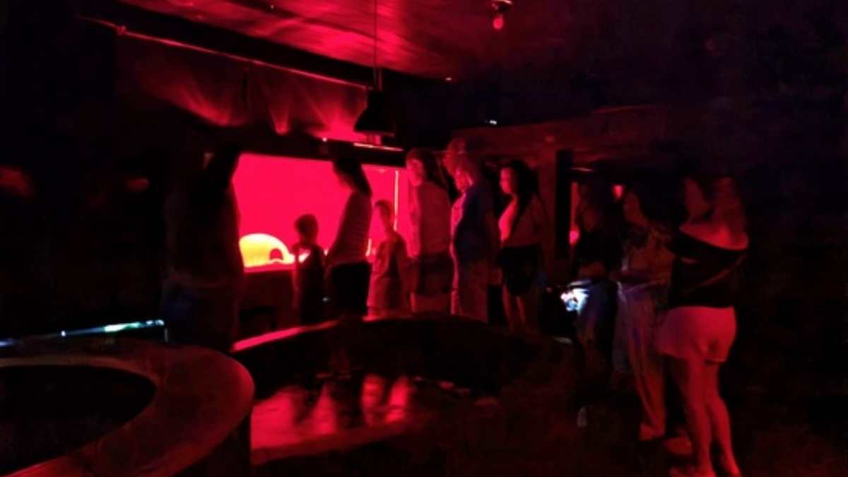 exposição Submarino Amarelo no Oceanário de Aracaju, Fundação Projeto Tamar.