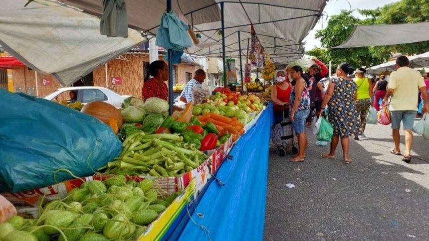 Movimentação de clientes entre bancas de frutas e verduras no setor interno do Mercado Central Virgínia Franco em Aracaju.