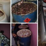 Agentes da Vigilância Sanitária e policiais inspecionando depósitos com carnes armazenadas de forma irregular.