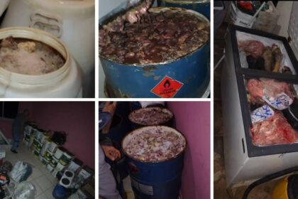 Agentes da Vigilância Sanitária e policiais inspecionando depósitos com carnes armazenadas de forma irregular.