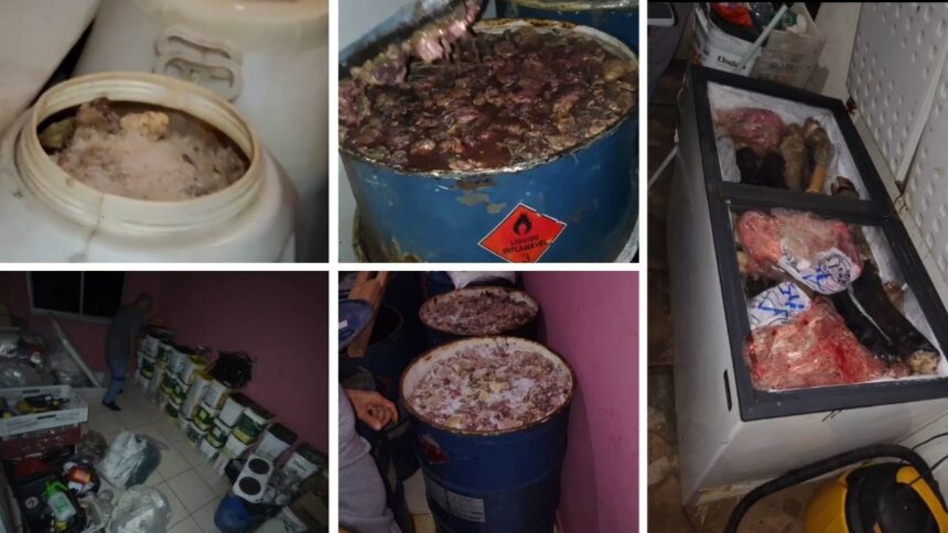 Agentes da Vigilância Sanitária e policiais inspecionando depósitos com carnes armazenadas de forma irregular.