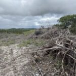 Área de mata preservada com sobreposição de dados de georreferenciamento e fiscalização ambiental.