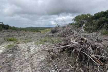 Área de mata preservada com sobreposição de dados de georreferenciamento e fiscalização ambiental.