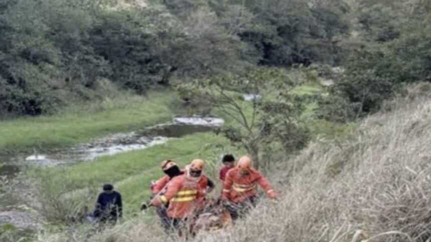 Equipe do Corpo de Bombeiros atuando em resgate em área de vegetação e pedras.