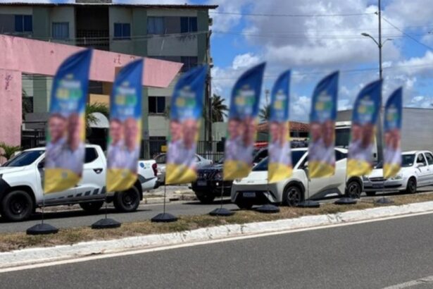 Equipes de fiscalização do TRE-SE recolhendo propaganda eleitoral em via pública.