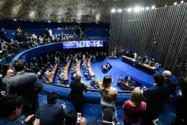 Plenário do Senado Nacional durante votação da PEC do fim da escala 6x1.
